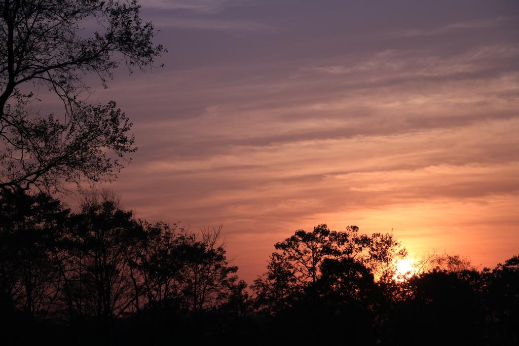Hotel Siddhartha Wildlife Retreat Meghauli Esterno foto