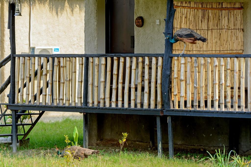 Hotel Siddhartha Wildlife Retreat Meghauli Esterno foto