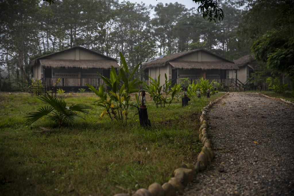 Hotel Siddhartha Wildlife Retreat Meghauli Esterno foto