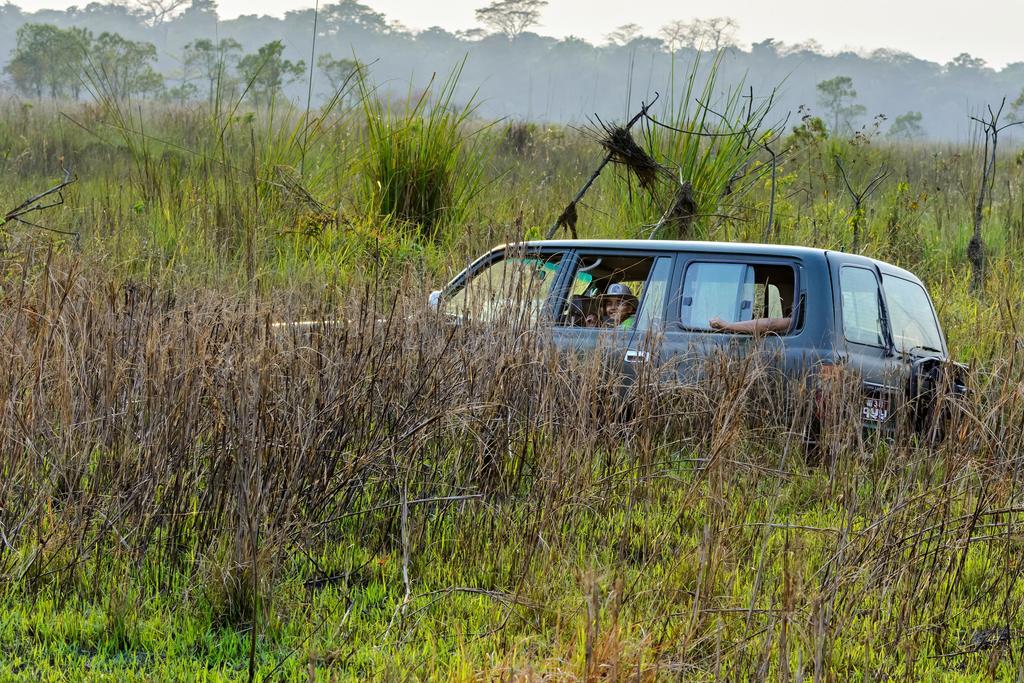 Hotel Siddhartha Wildlife Retreat Meghauli Esterno foto